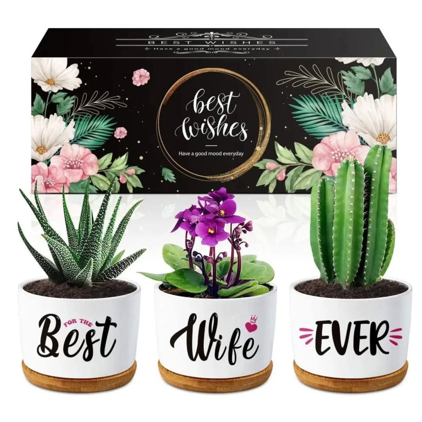 Best Wife Ever Ceramic Plant Pot Gift Set With Bamboo Saucers – view 1