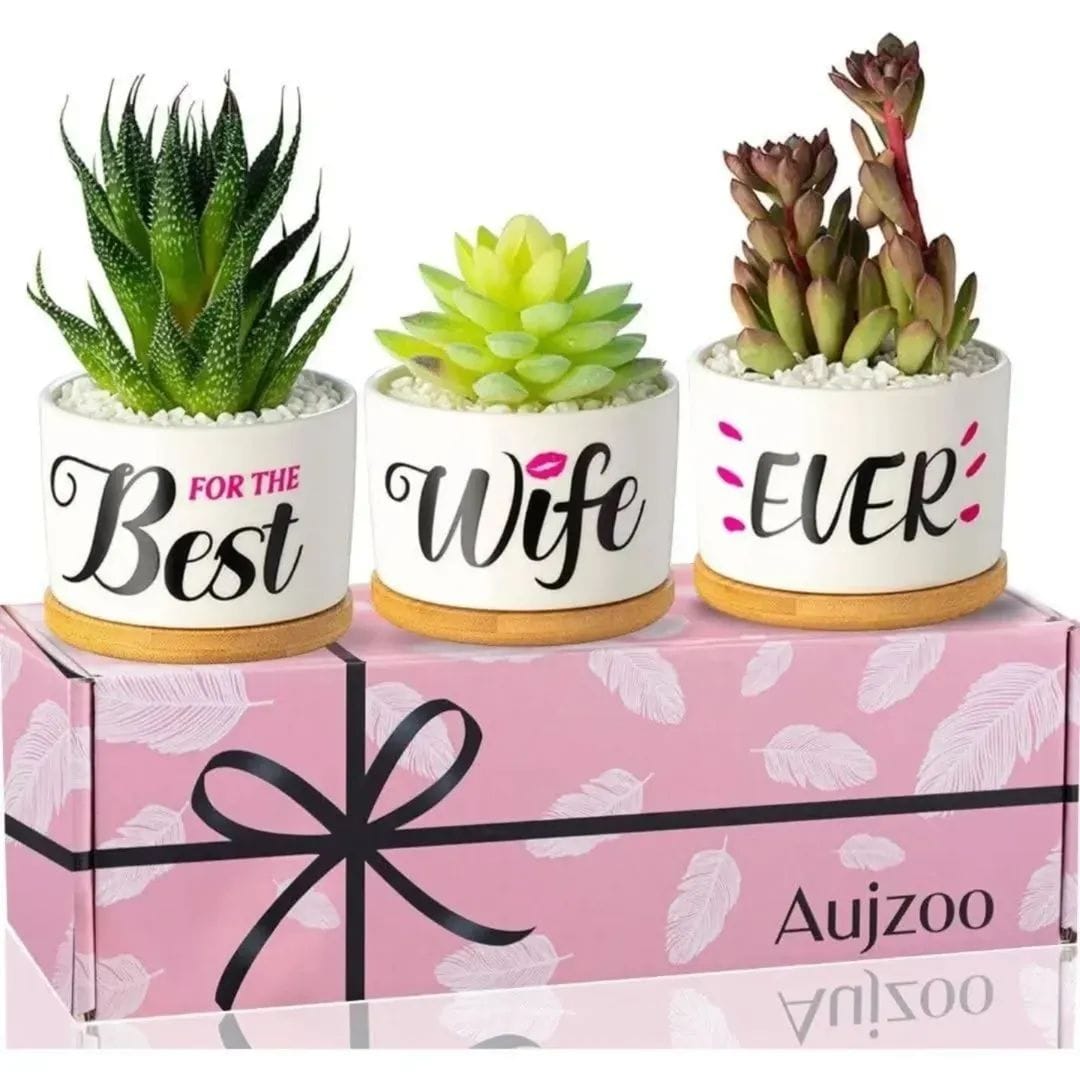 Best Wife Ever Succulent Pot Set – view 1