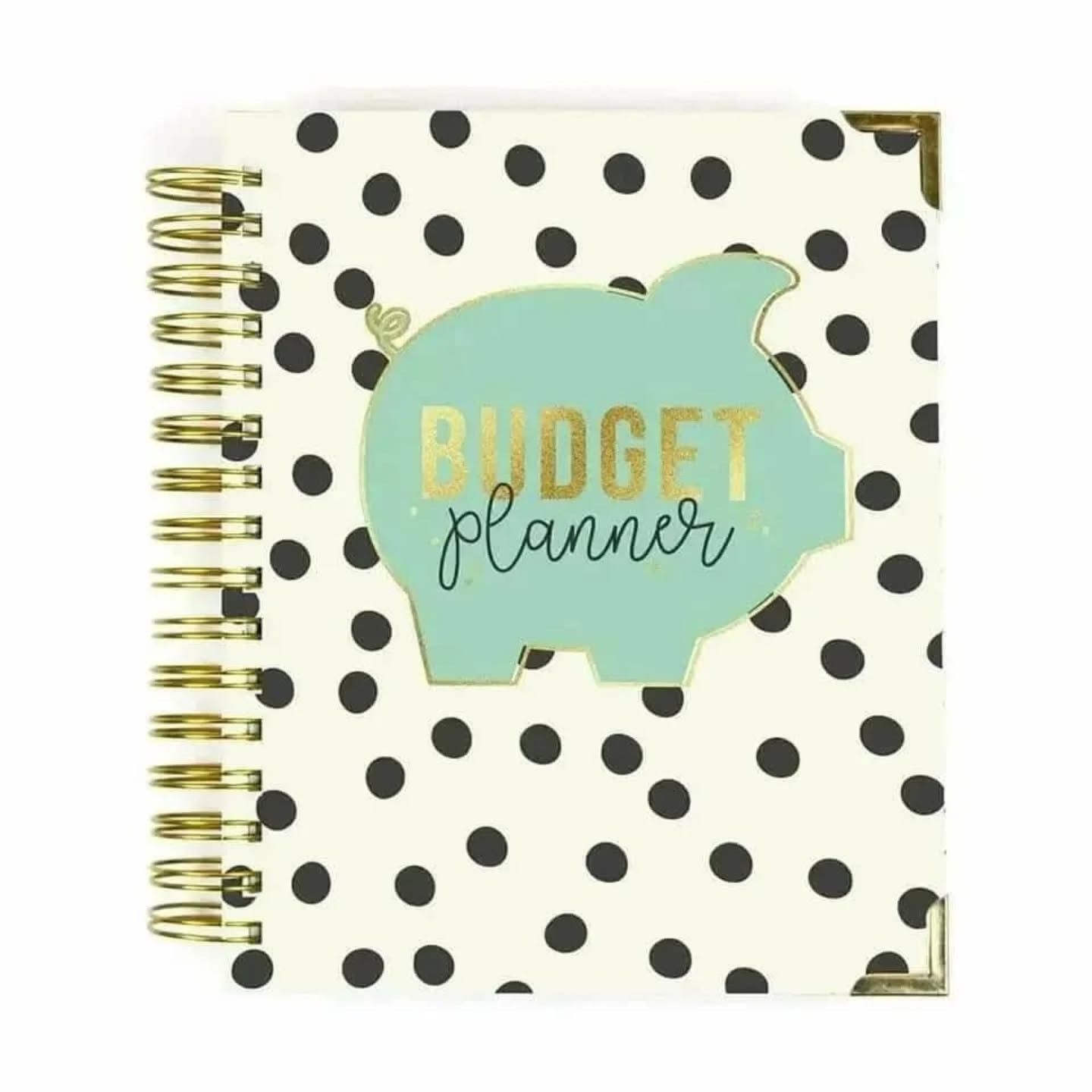 Pukka Pad, Carpe Diem Budget Planner - Spiral Bound Planner – view 1
