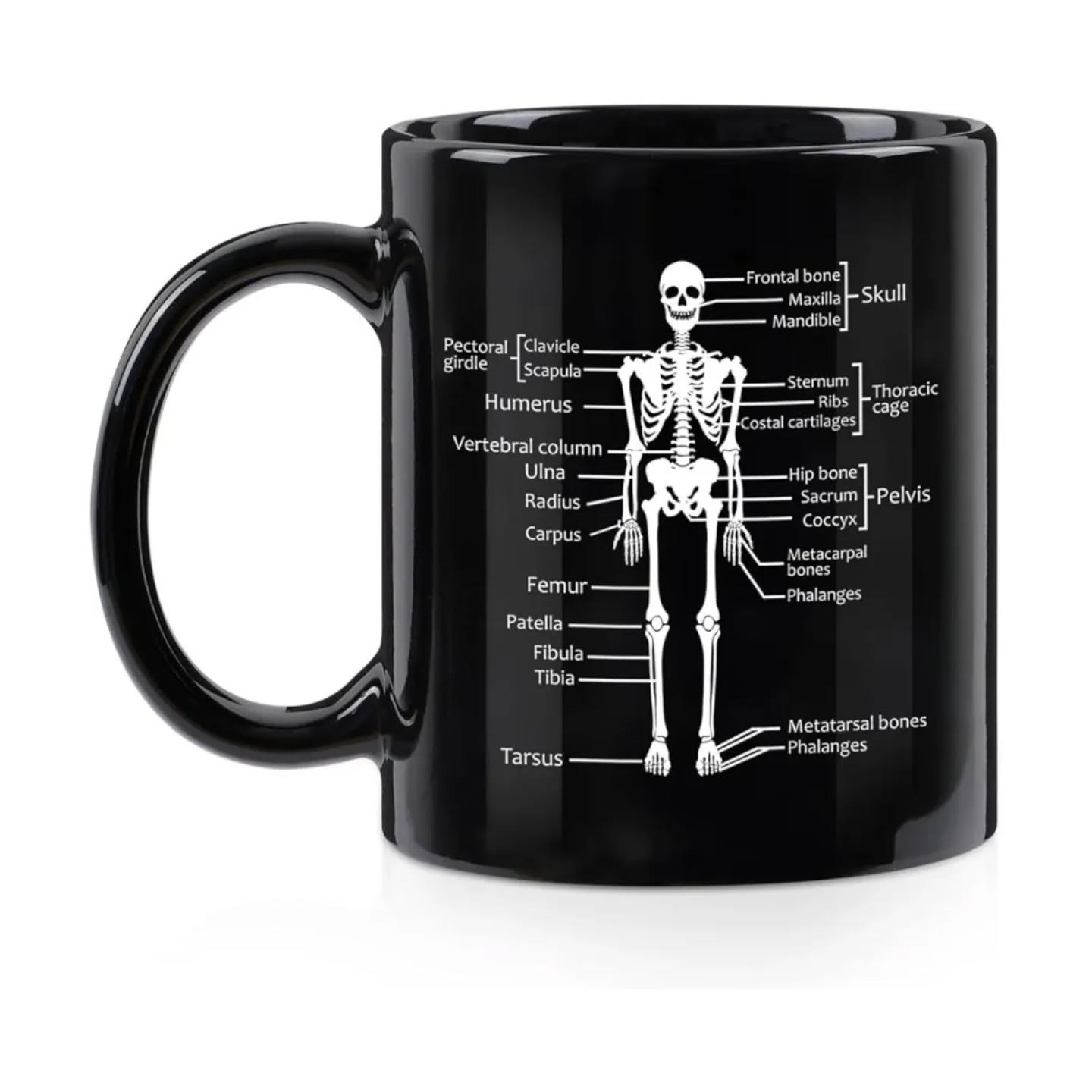 Skeletal System Mug 11oz – view 1