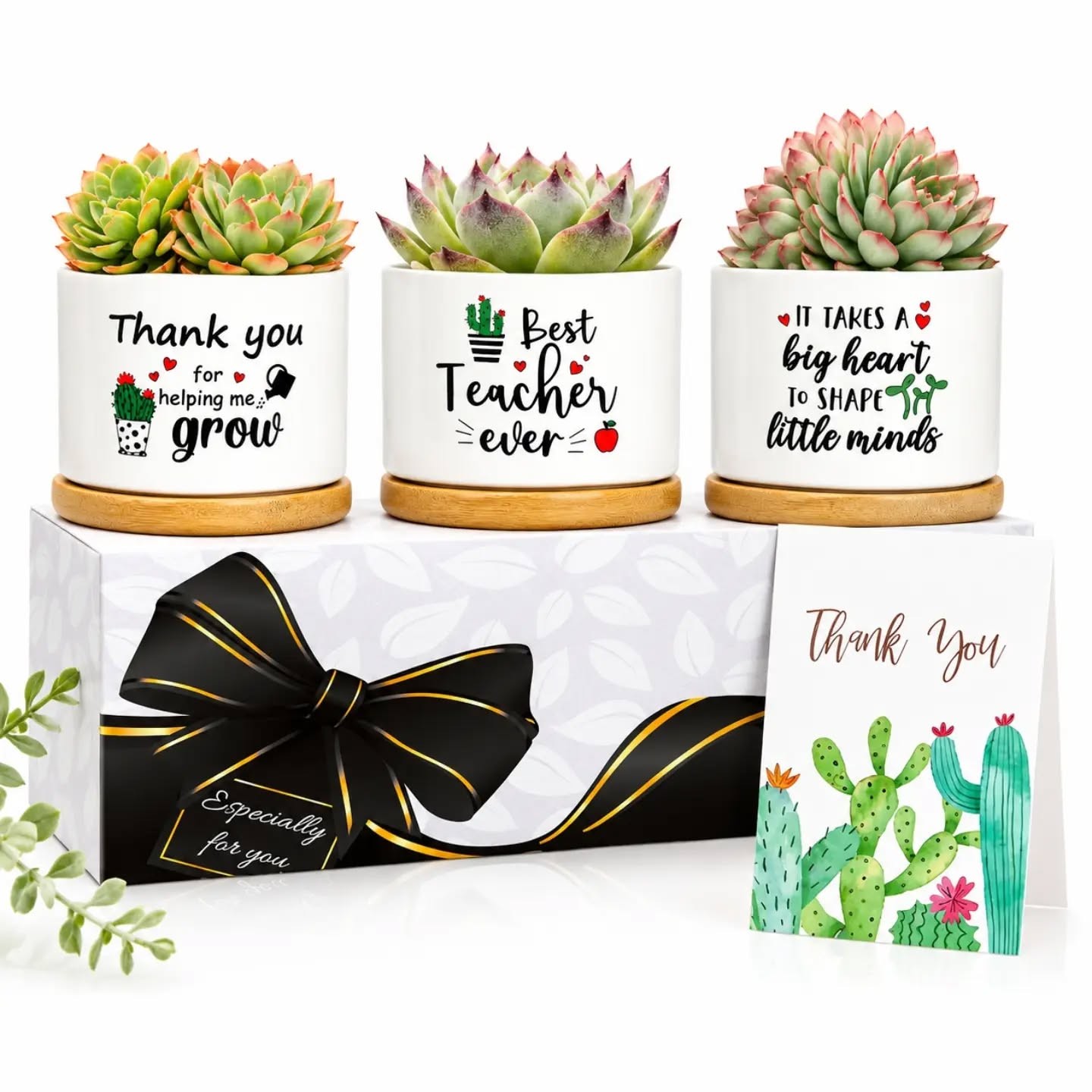 Teacher Ceramic Plant Pots With Bamboo Saucers Gift Set With Greetings Card – view 1
